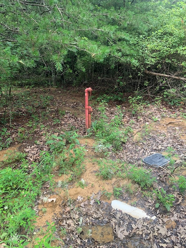 LOT56 Meadow Dr, Spencer, TN 38585 - photo 11