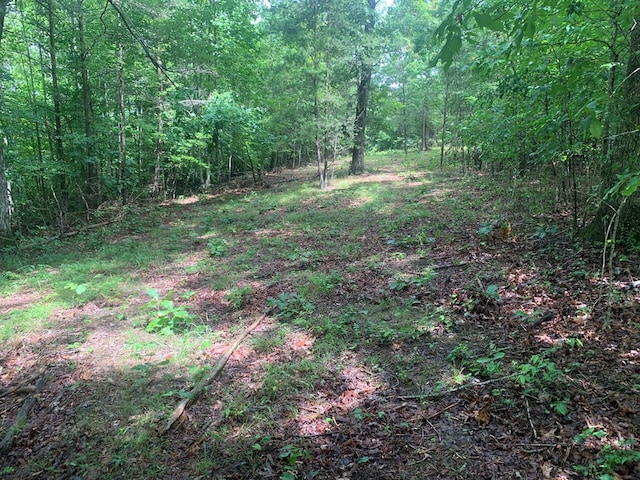 LOT56 Meadow Dr, Spencer, TN 38585 - photo 2
