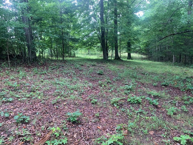 LOT56 Meadow Dr, Spencer, TN 38585 - photo 8