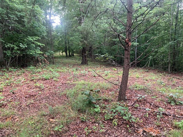 LOT56 Meadow Dr, Spencer, TN 38585 - photo 5
