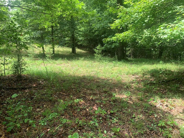 LOT56 Meadow Dr, Spencer, TN 38585 - photo 1