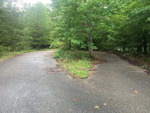 LOT56 Meadow Dr, Spencer, TN 38585 - photo 9