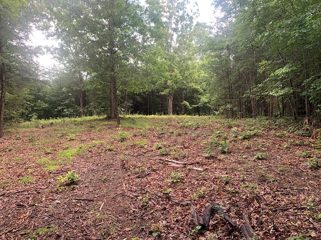 LOT56 Meadow Dr, Spencer, TN 38585 - photo 7
