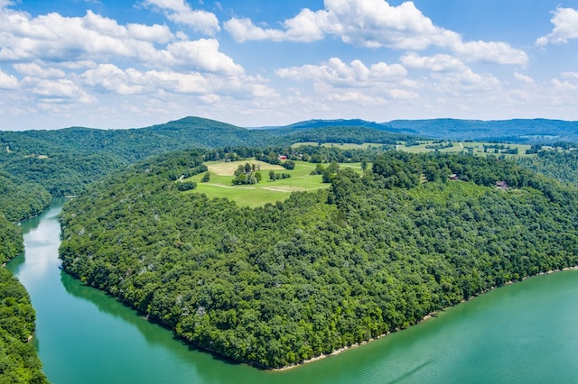 LOT19 Amonett Cir, Byrdstown, TN 38549