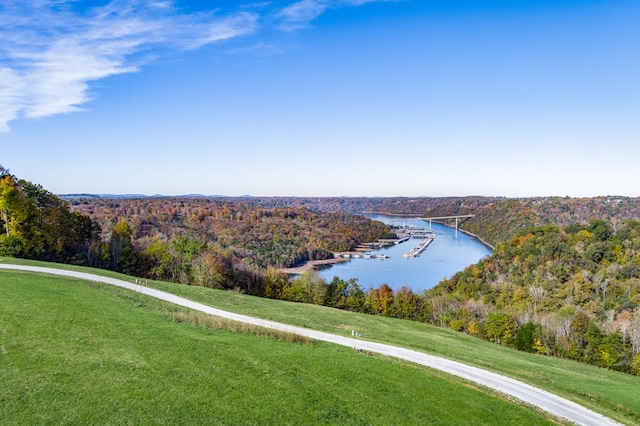 LOT19 Amonett Cir, Byrdstown, TN 38549