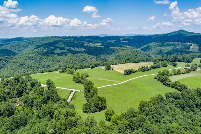 LOT19 Amonett Cir, Byrdstown, TN 38549