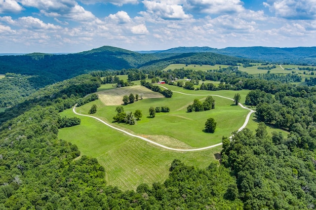 LOT19 Amonett Cir, Byrdstown, TN 38549