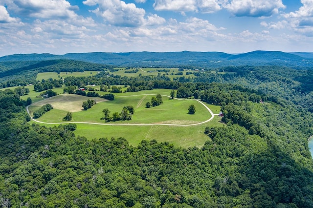 LOT19 Amonett Cir, Byrdstown, TN 38549