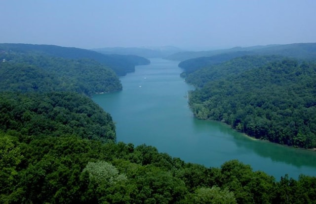 LOT19 Amonett Cir, Byrdstown, TN 38549