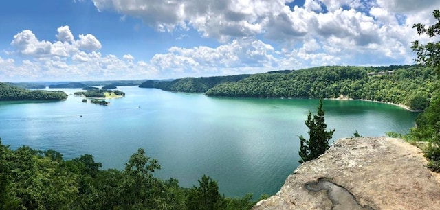 LOT19 Amonett Cir, Byrdstown, TN 38549