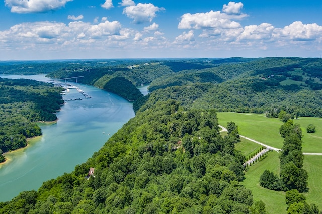 LOT19 Amonett Cir, Byrdstown, TN 38549