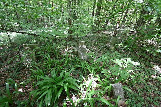 0 Redbud Rd, Byrdstown, TN 38549