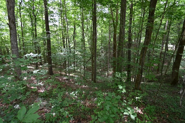 0 Redbud Rd, Byrdstown, TN 38549