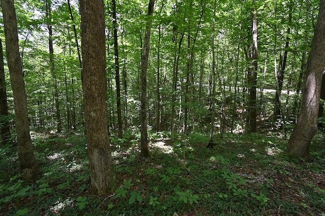 0 Redbud Rd, Byrdstown, TN 38549
