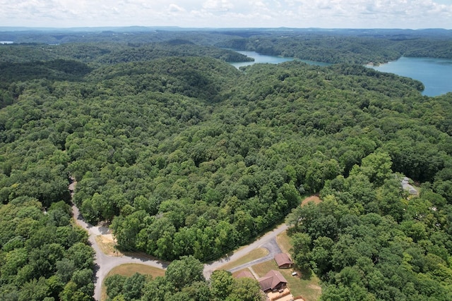 0 Redbud Rd, Byrdstown, TN 38549