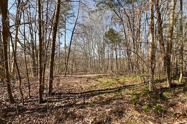 0 Redbud Rd, Byrdstown, TN 38549