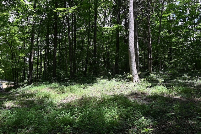 0 Redbud Rd, Byrdstown, TN 38549