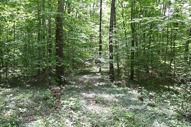 0 Redbud Rd, Byrdstown, TN 38549