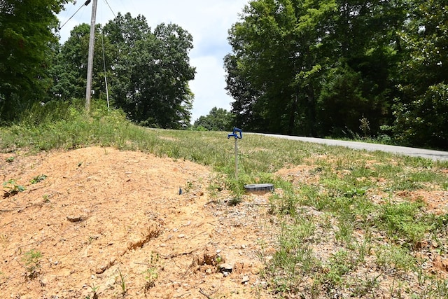 0 Redbud Rd, Byrdstown, TN 38549