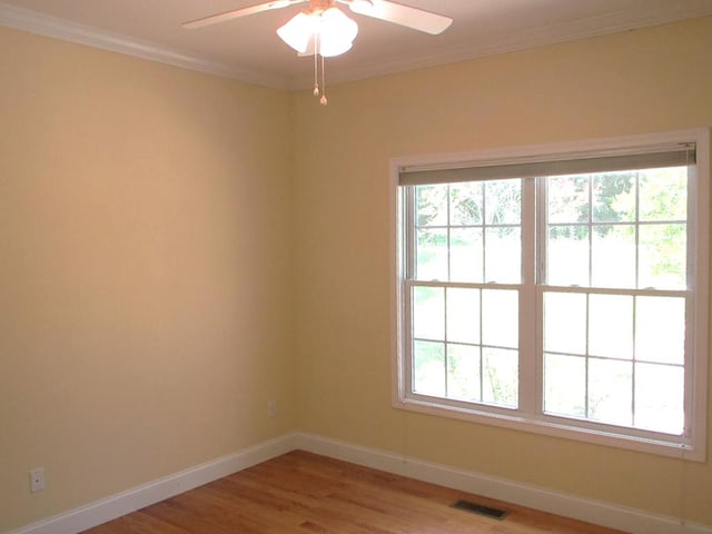 484 Peavine Firetower Rd, Crossville, TN 38571 - photo 12