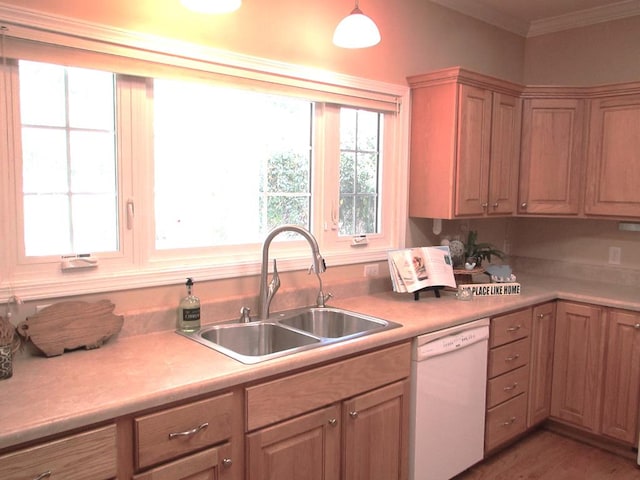484 Peavine Firetower Rd, Crossville, TN 38571 - photo 6