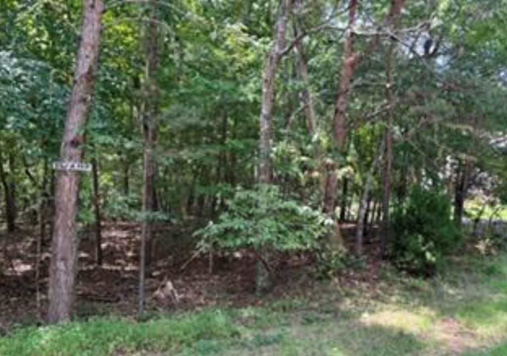 125 Lechmere Dr, Crossville, TN 38558