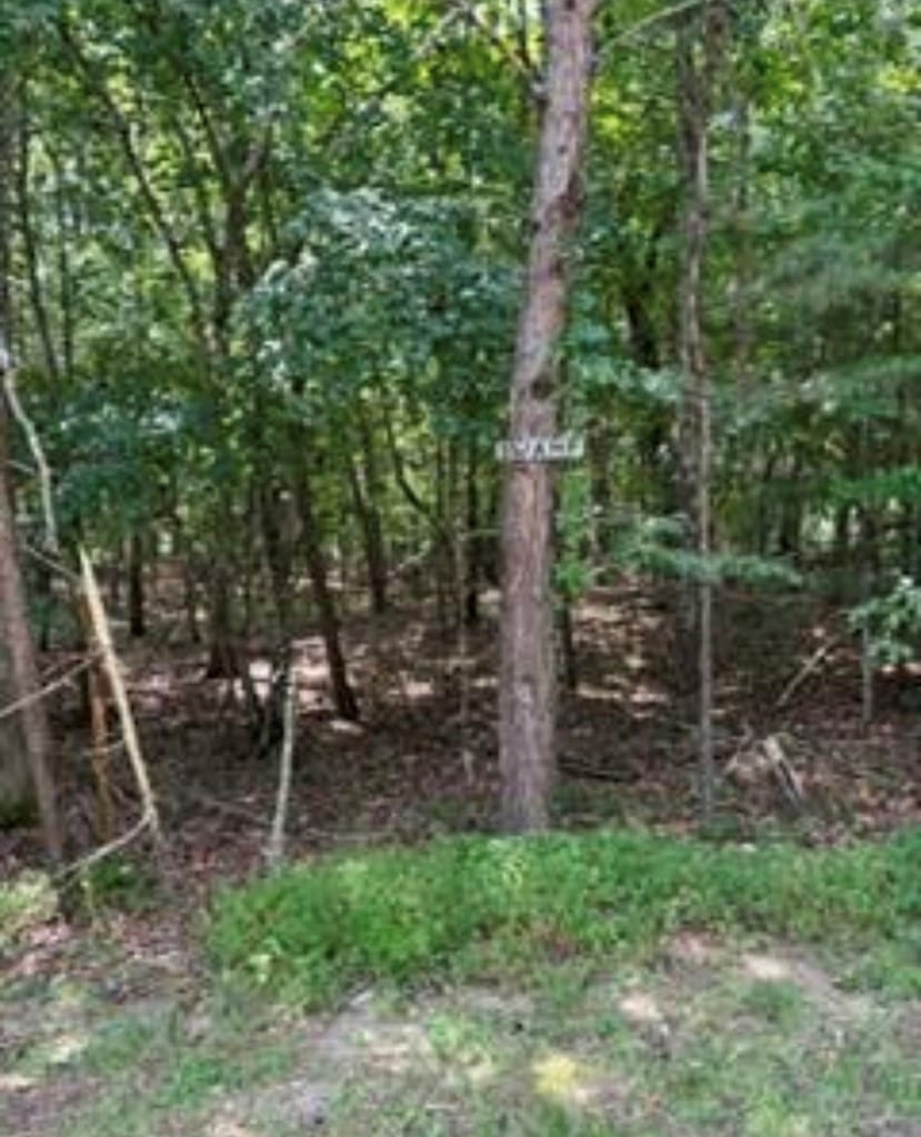125 Lechmere Dr, Crossville, TN 38558