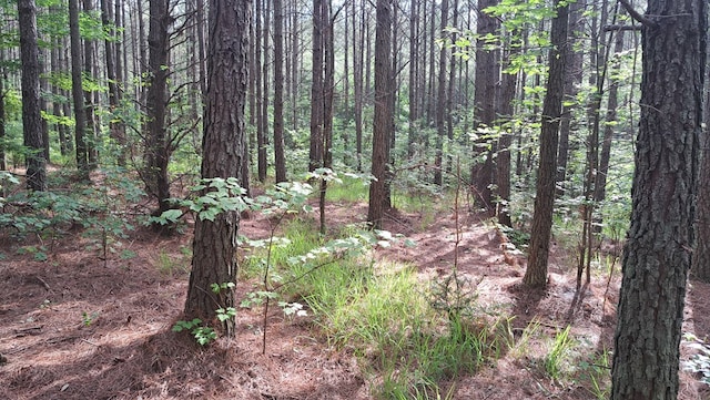 TRACT10 Airport Rd, Piney Creek Acres, Rockwood, TN 37854 - photo 4