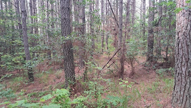 TRACT10 Airport Rd, Piney Creek Acres, Rockwood, TN 37854 - photo 9