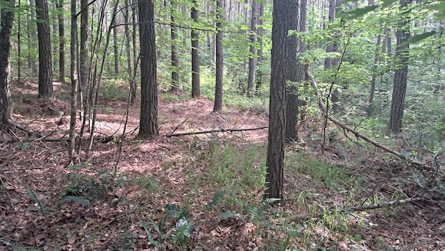 TRACT10 Airport Rd, Piney Creek Acres, Rockwood, TN 37854 - photo 3