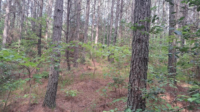 TRACT10 Airport Rd, Piney Creek Acres, Rockwood, TN 37854 - photo 15