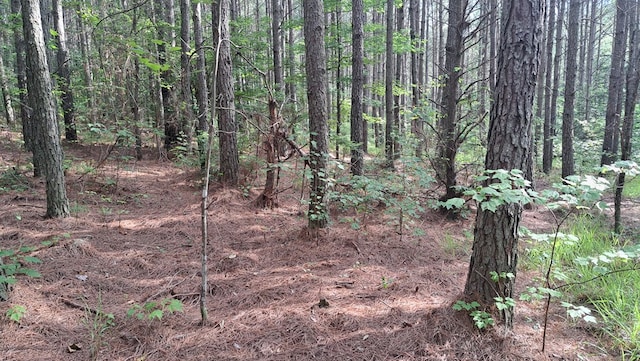 TRACT10 Airport Rd, Piney Creek Acres, Rockwood, TN 37854 - photo 12