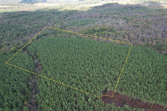 TRACT10 Airport Rd, Piney Creek Acres, Rockwood, TN 37854 - photo 18