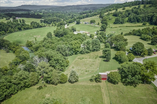 579 Blue Springs Rd, Sparta, TN 38583 - photo 30