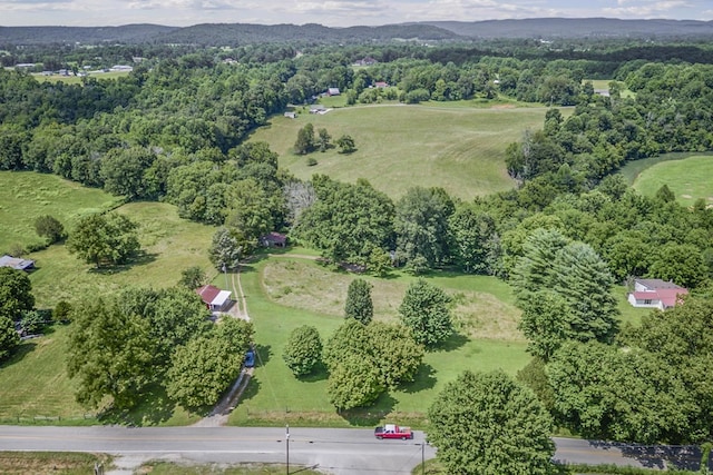 579 Blue Springs Rd, Sparta, TN 38583 - photo 29