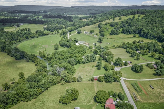 579 Blue Springs Rd, Sparta, TN 38583 - photo 35