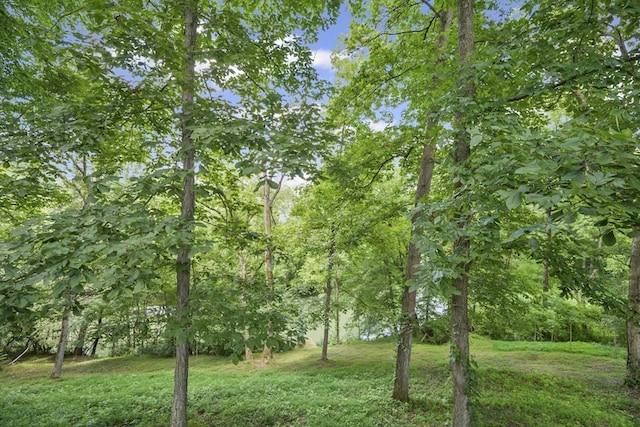 579 Blue Springs Rd, Sparta, TN 38583 - photo 3