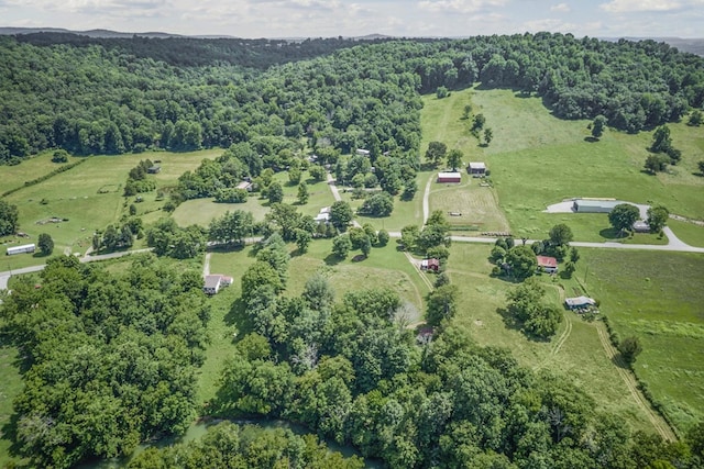 579 Blue Springs Rd, Sparta, TN 38583 - photo 34