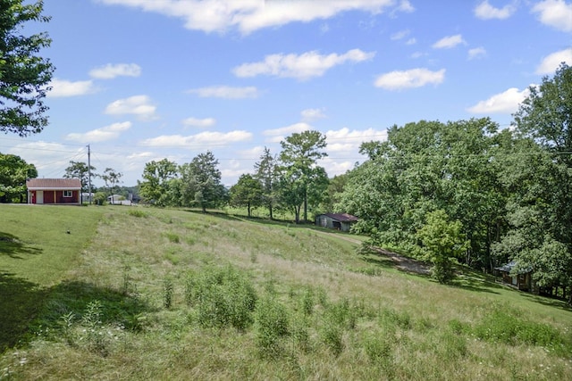 579 Blue Springs Rd, Sparta, TN 38583 - photo 27