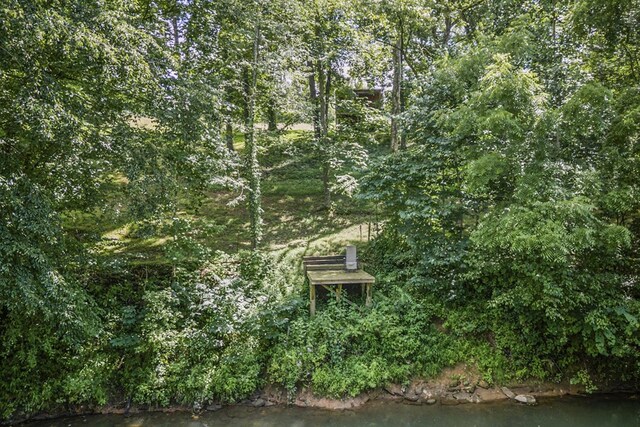 579 Blue Springs Rd, Sparta, TN 38583 - photo 7
