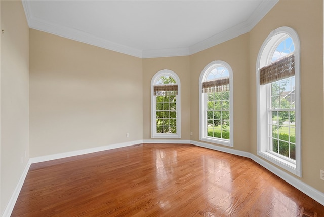 306 Gray Hawk Trl, Clarksville, TN 37043 - photo 31