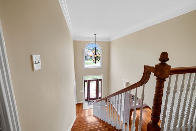 306 Gray Hawk Trl, Clarksville, TN 37043 - photo 37