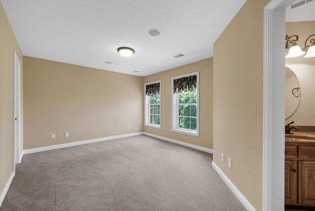 306 Gray Hawk Trl, Clarksville, TN 37043 - photo 40