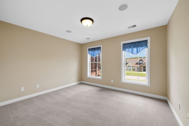 306 Gray Hawk Trl, Clarksville, TN 37043 - photo 46