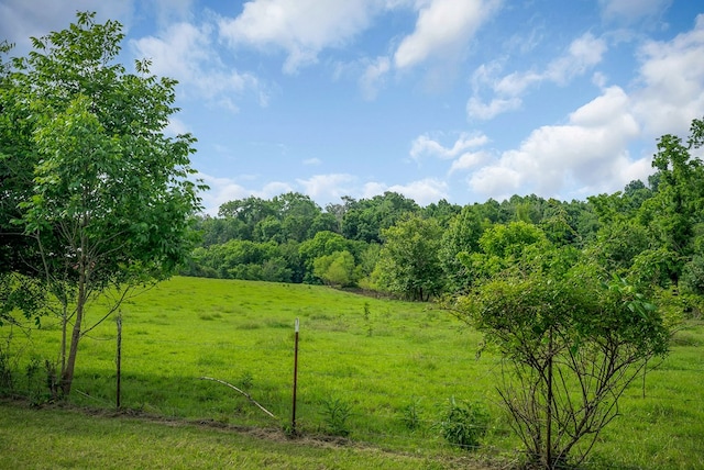 3435 Northwind Dr, Cookeville, TN 38506 - photo 29