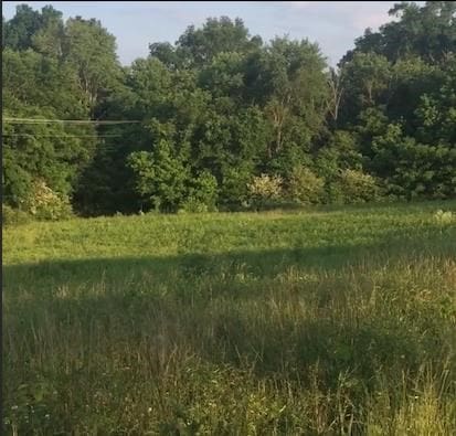 788 Old Walton Rd, Cookeville, TN 38501 - photo 2