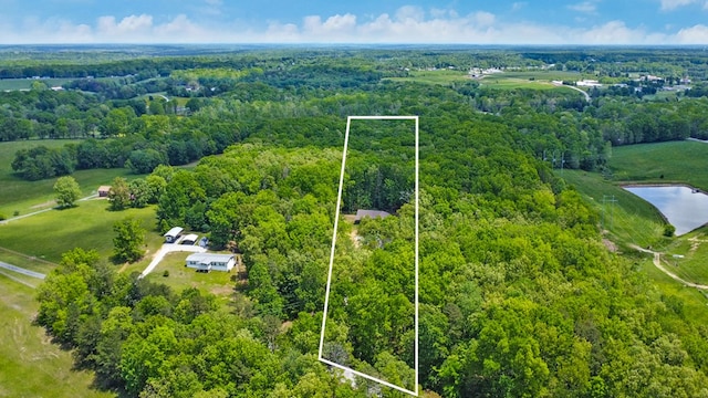 98 Paso Fino Trl, Jamestown, TN 38556 - aerial view of property and surrounding area with property parcel outlined, a heavily wooded area, and a large body of water