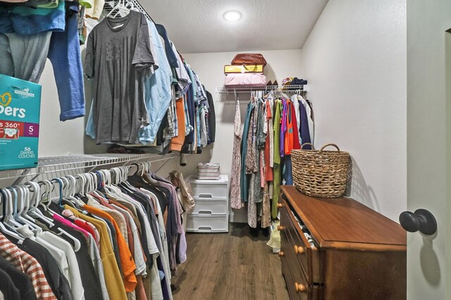 98 Paso Fino Trl, Jamestown, TN 38556 - spacious closet featuring wood finished floors