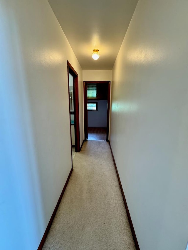 1039 Old Martha Washington Rd, Clarkrange, TN 38553 - corridor featuring light carpet and baseboards