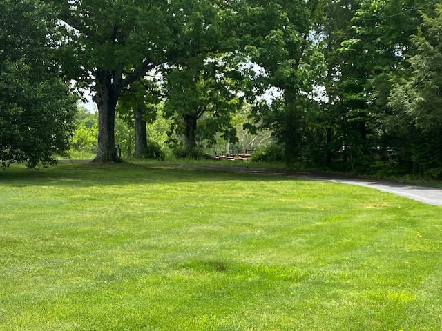 1039 Old Martha Washington Rd, Clarkrange, TN 38553 - view of grassy yard